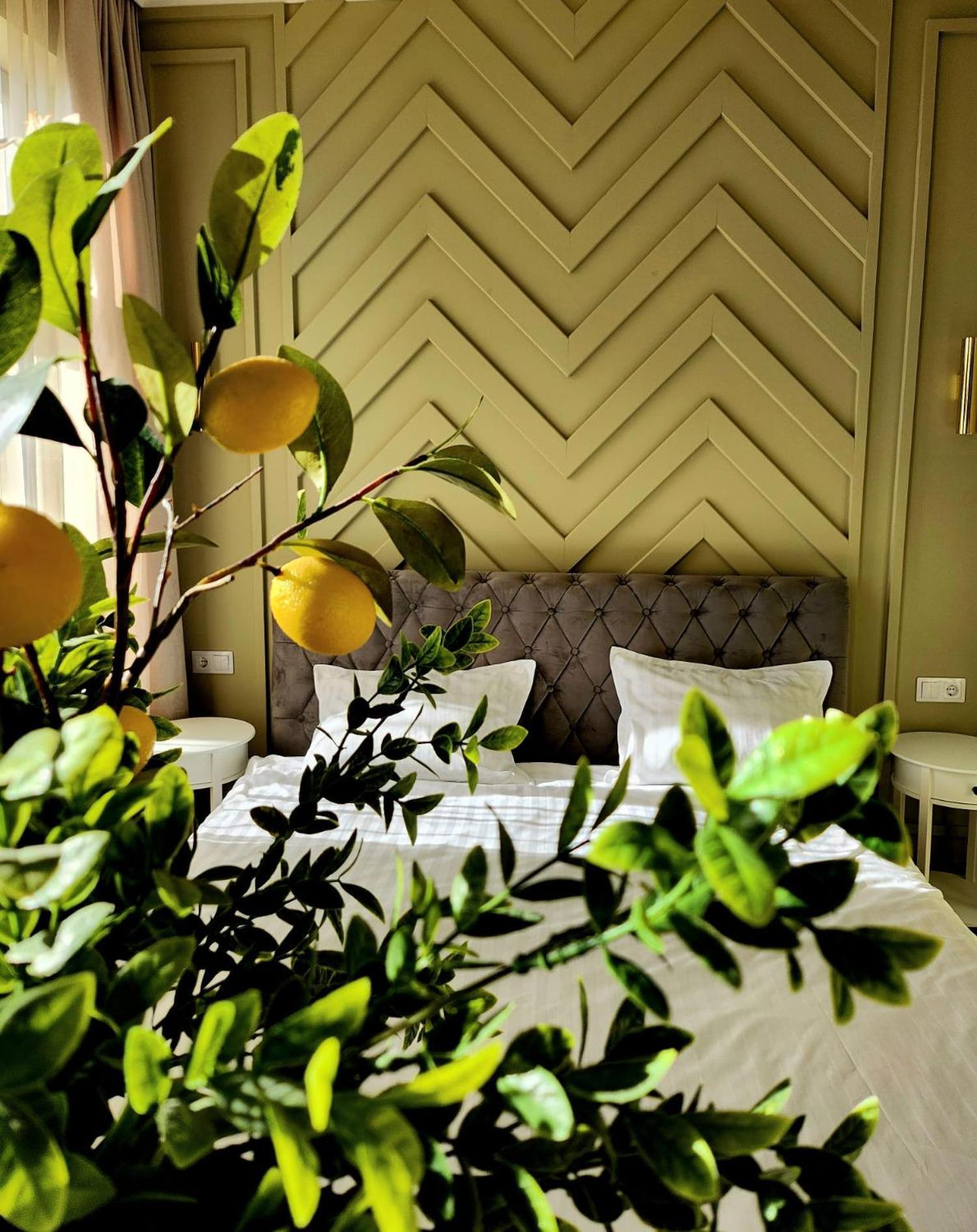 Olive 1 Apartment Oradea